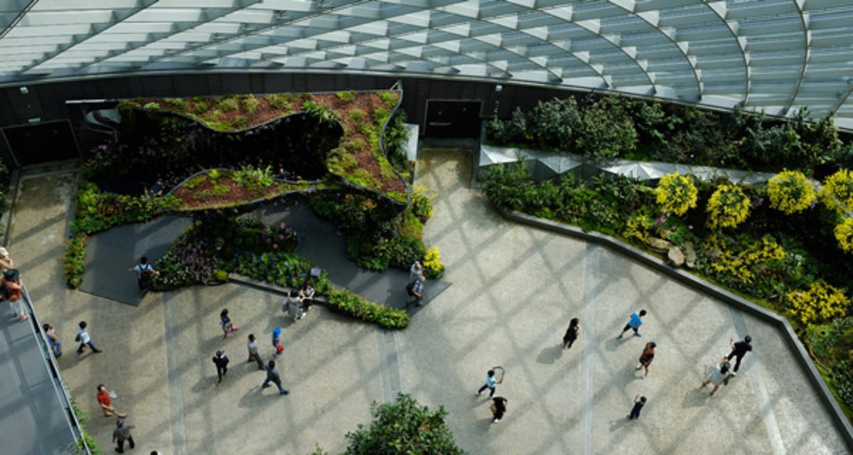 Symbolbild einer grünen Stadt. Gardens by the bay, Singapur. Foto: Kat Egoshina, Unsplash.