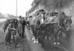 Flüchtlinge Foto: LMZ-BW