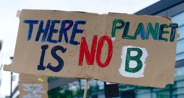 Bewegung „Fridays for Future“. Foto: Niklas Pntk, pixabay.com, 4161573