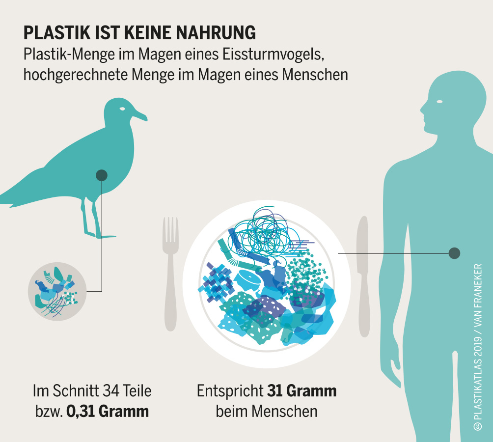 Plastikmenge im Magen eines Eissturmvogels. Grafik: Plastikatlas | Appenzeller/Hecher/Sack | CC BY 4.0